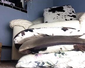 spacilaci1 Clip  [Chaturbate] spy cam irresistible oral sex